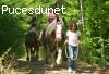 Toscane: VTT, équitation et randonnées - appartements avec piscine et chevaux