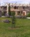 g�te en Provence